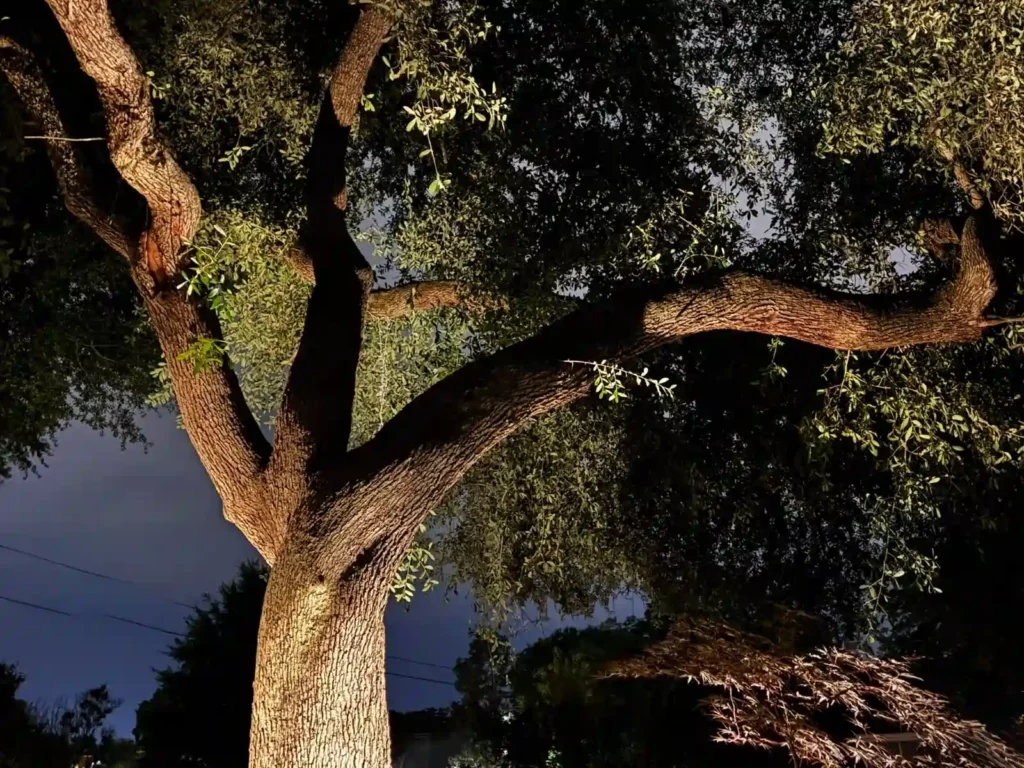 AccentLightingtree