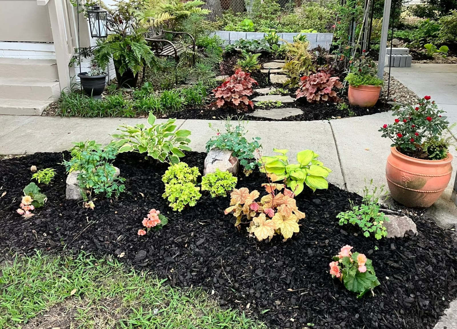 Backdoor Flower Beds