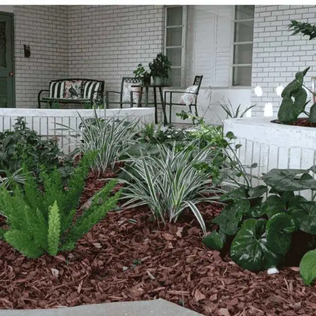 greenplants-with-brown-mulch650by650px