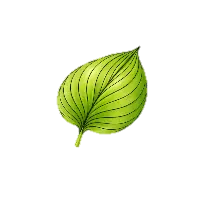my green leaf icon
