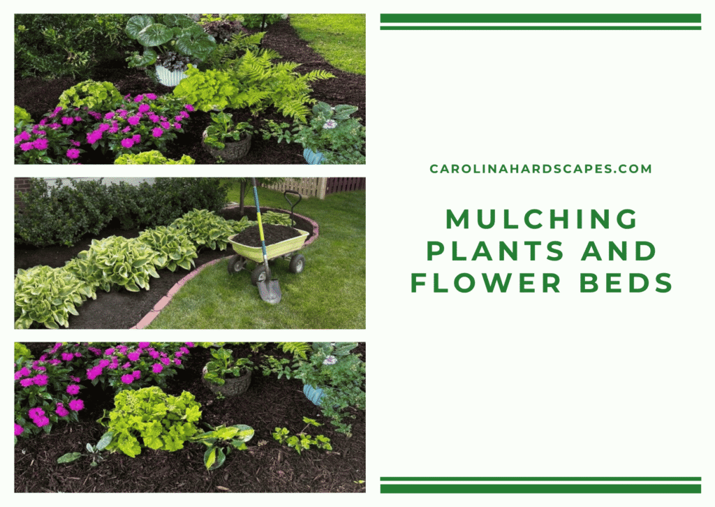 fLOWERBEDS