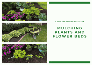 fLOWERBEDS